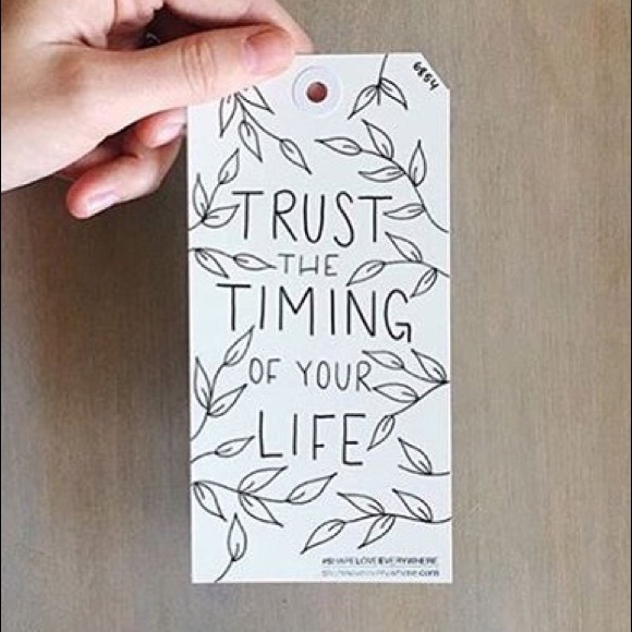 Meet your Posher, Curtis - Picture 1 of 1